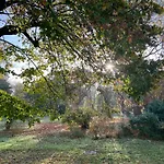 L'oree Du Bois Des Rois Bed & Breakfast 3*