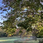 L'oree Du Bois Des Rois Bed & Breakfast 3*